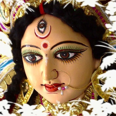 জুঁই সরকার "টিউলিপ"