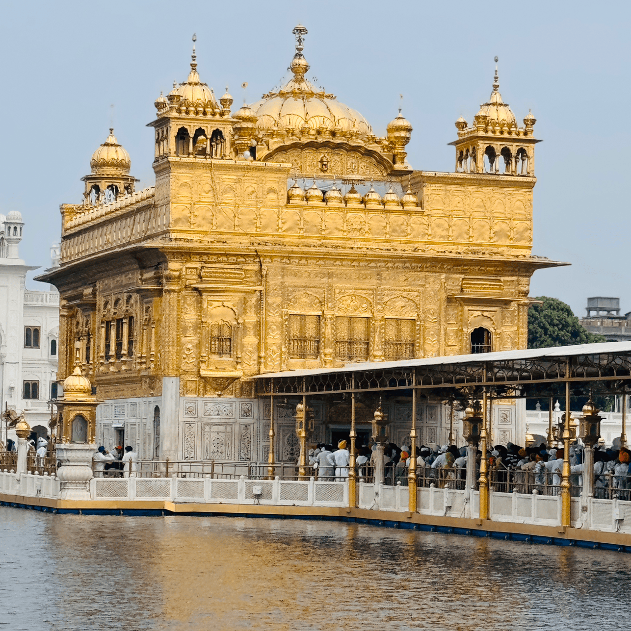 ਬਲਕਰਨਵੀਰ ਸਿੰਘ