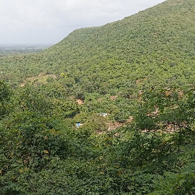 Lalan Jani