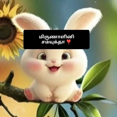 ❣️மிருணாளினி❣️ சம்யுக்தா🌹 மிருணாளினி "இசை"