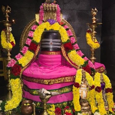 ஜெ. பவானி "அம்மு"