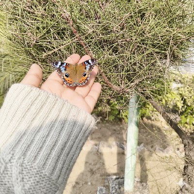 Monika Sehjal❤️🥀🌹