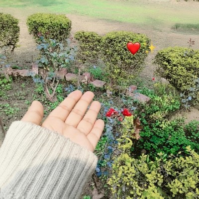 Monika Sehjal❤️🥀🌹