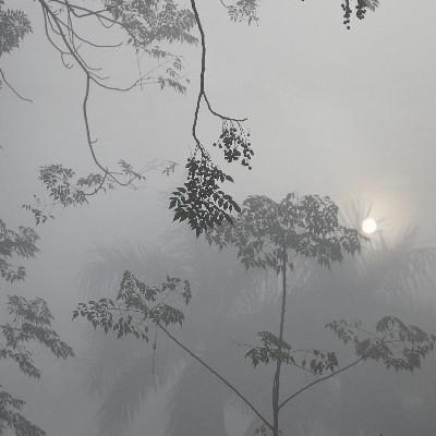 ਸਿਮਰਨ ਲੁਧਿਆਣਵੀ