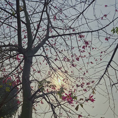 ਸਿਮਰਨ ਲੁਧਿਆਣਵੀ