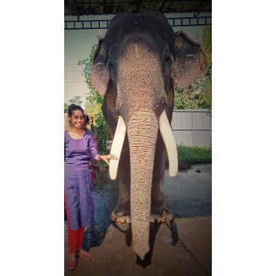 🦋വിദ്യാ ശ്രീ 🦋 "🦋🦋ശ്രീ 🦋🦋"