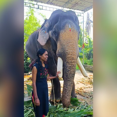 🦋വിദ്യാ ശ്രീ 🦋 "🦋🦋ശ്രീ 🦋🦋"