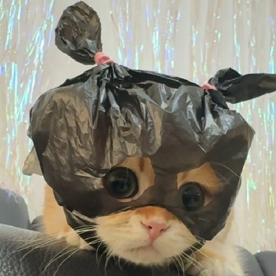 𝚅𝙰𝚁𝙽𝙰 𝙳𝙴𝚅𝙰𝙳𝙰𝚃𝙷𝙰𝙽 "💙𝙿𝚛𝚊𝚗𝚊𝚢𝚒𝚗𝚒❤️🧿"