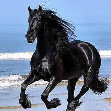 V kirana "ವಿ,,ಕಿರಣ"