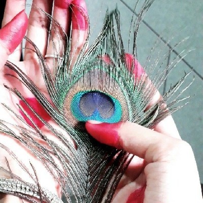 Sweeti HM༗ "ક્રિષ્ણાક્ષી"