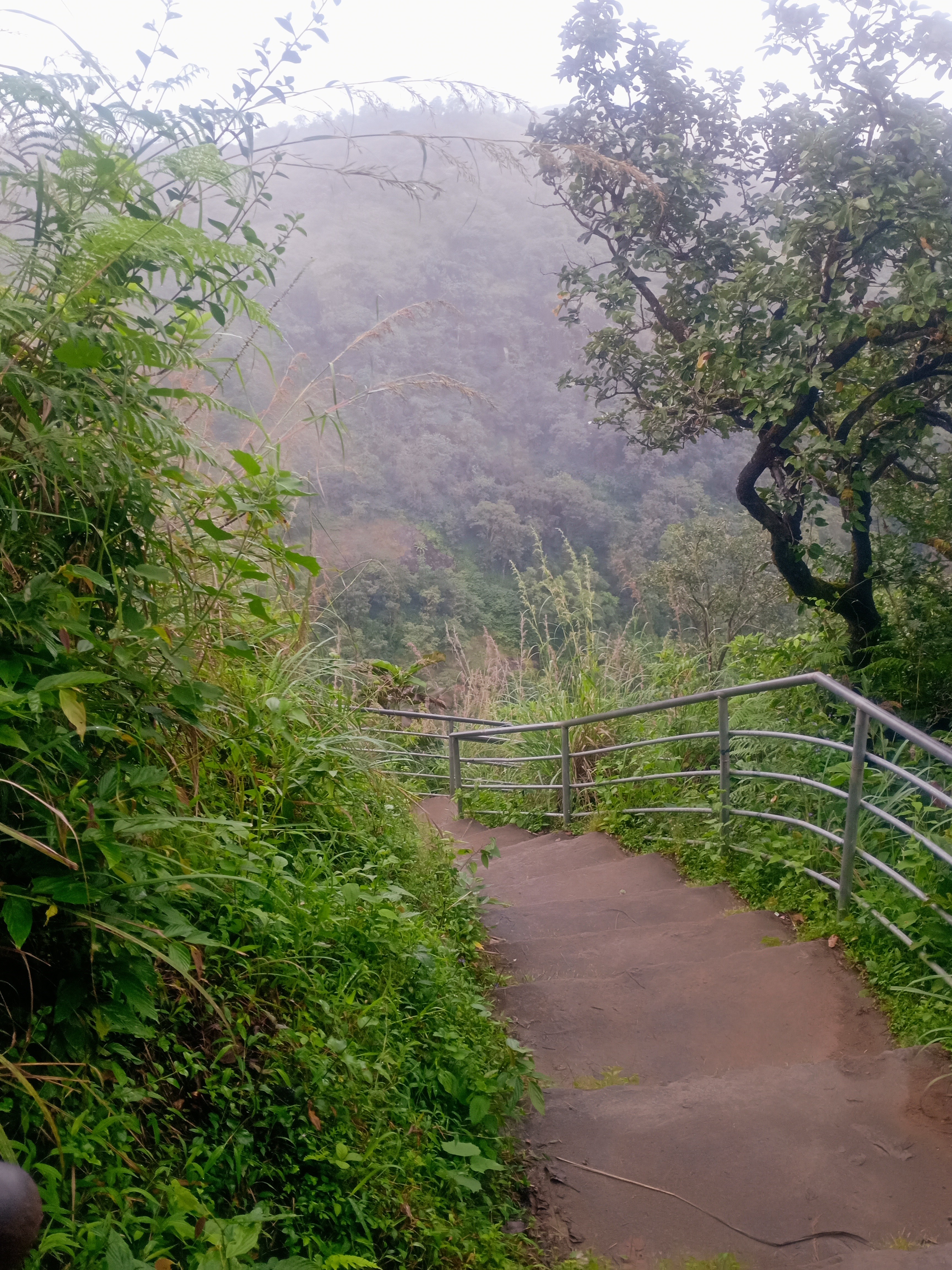 hemavathi bongale
