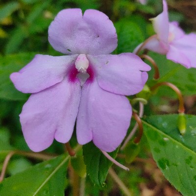 Neha Tatkare "ռɛ_ֆաAʟ❤️"