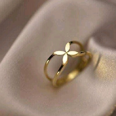 Secret Writer "₹@h@$h¥@"