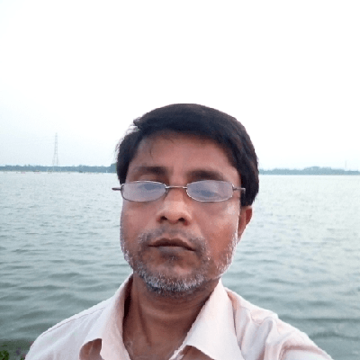 পি সি লিটন