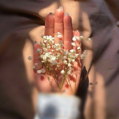 ❤️🦋ആമി  🦋❤️ 🦋പ്രണയത്തിന്റെ രാജകുമാരി 🦋❤