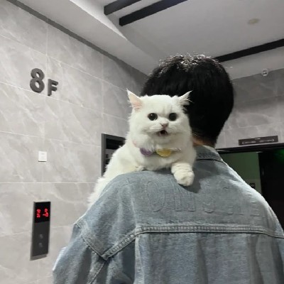 😜അയ്മൂട്ടി 😜