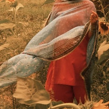 मिस लेखिका...!
