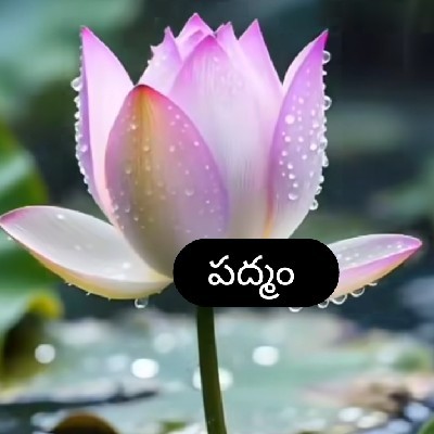 చెరుకుపల్లి పద్మామూర్తి