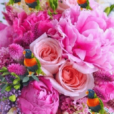 Anish Mulay "( sweetheart 😍❤ )"