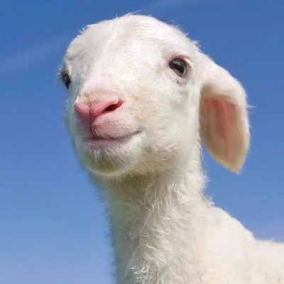 சிலம்பொலி "சிலம்பொலி"