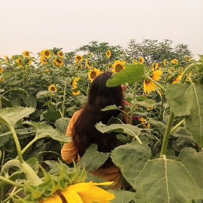 মৃণালিনী ~ (অচেনা শহর)
