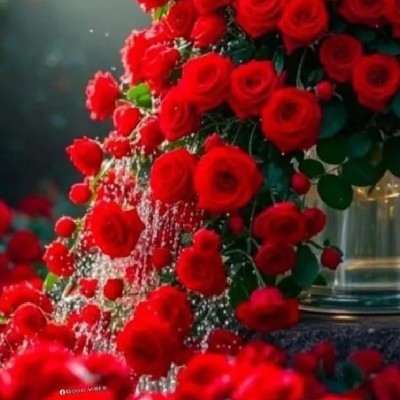 AMRAJ