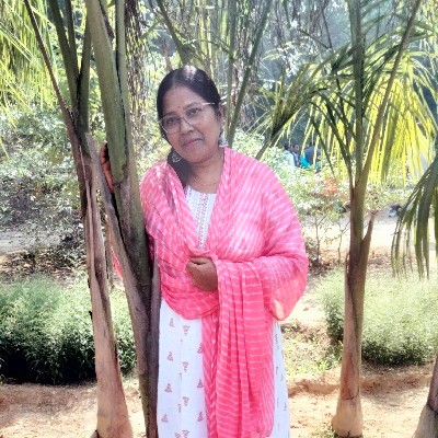 नारायणी मीना