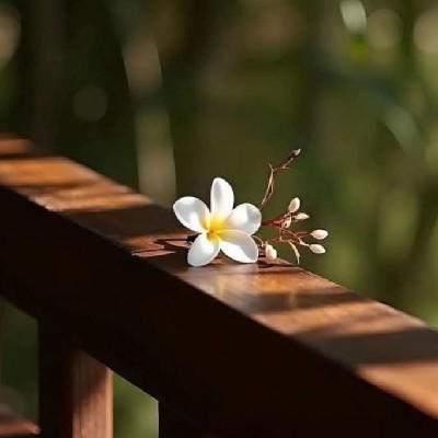 प्रियंका कटारे "प्रिराज"