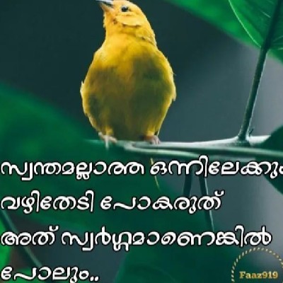 Vinod വിവേക് ( ദേവ)