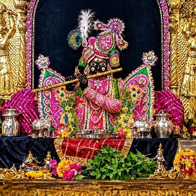 Lavya Vyas ईश्का