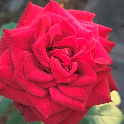 కిరణ్మయి "వీ kshana"