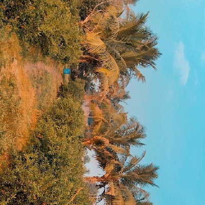 कवी - डॉ . अशोक गोसावी /🇦 🇬 😎