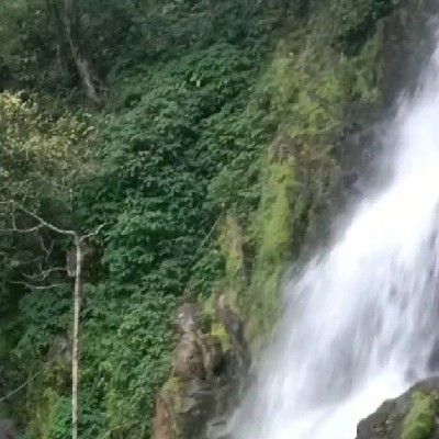 Nature "Thaz🌱"