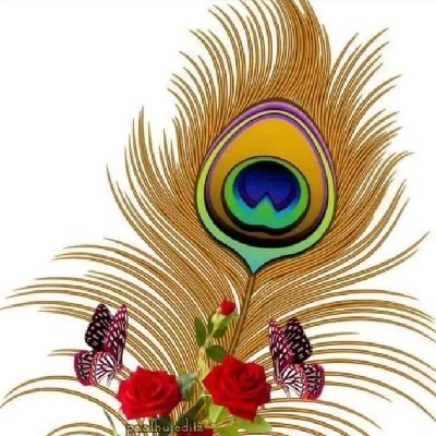 Kinnari Dholakiya "Kinnari."