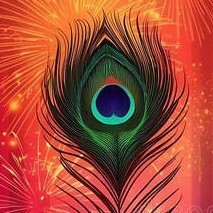 Nishruti Shah "નિશ"