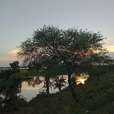 Rahul Biswas