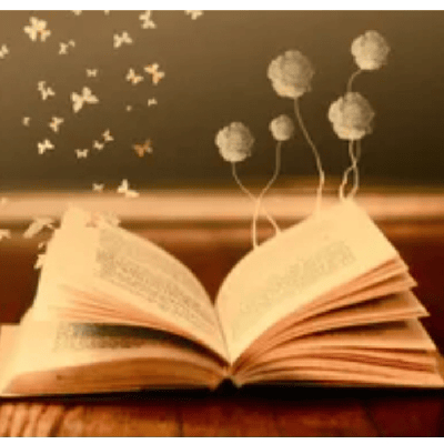 Book Lover