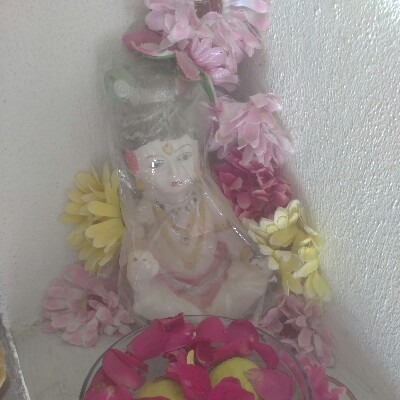 Punagavali S