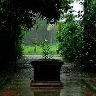 സാച്ചുസ്... "സാച്ചുസ്"