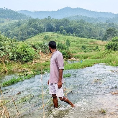 Ganesh Asgard "Eternal"