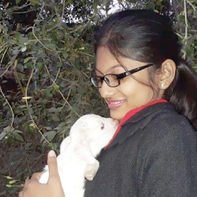 পিপীলিকা (প্রমি)