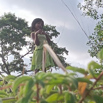 ഗായത്രി ദേവി