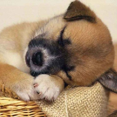 Shadura Arthinan "Shadura arthinan"