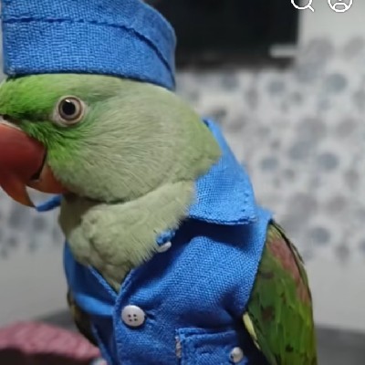 🌷குமரன்🍡 தில் "🍡🌷💚நாவல்கள்💚🌷🍡"