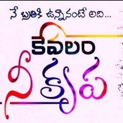 ☘️ అనులత ☘️