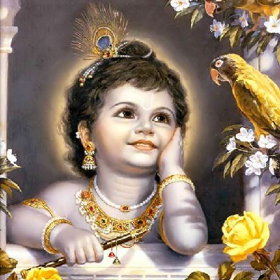 దివ్య "కౌషి"