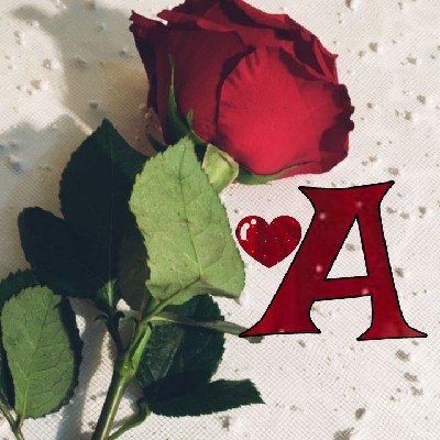 ✍︎  𝓐𝓶𝓲𝓽 𝓚𝓾𝓶𝓪𝓻 𝑺𝓮𝓽𝓱𝓲