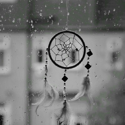 🕊 Isʜǫᴀ 🕊️