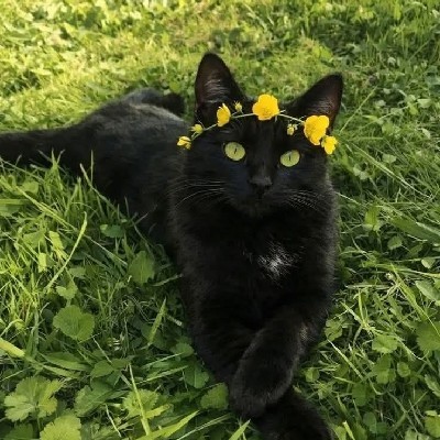 प्रिती राऊत