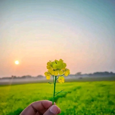 Sei সেই ছেলেটা 😌❤️🌻 "সুন্দর"